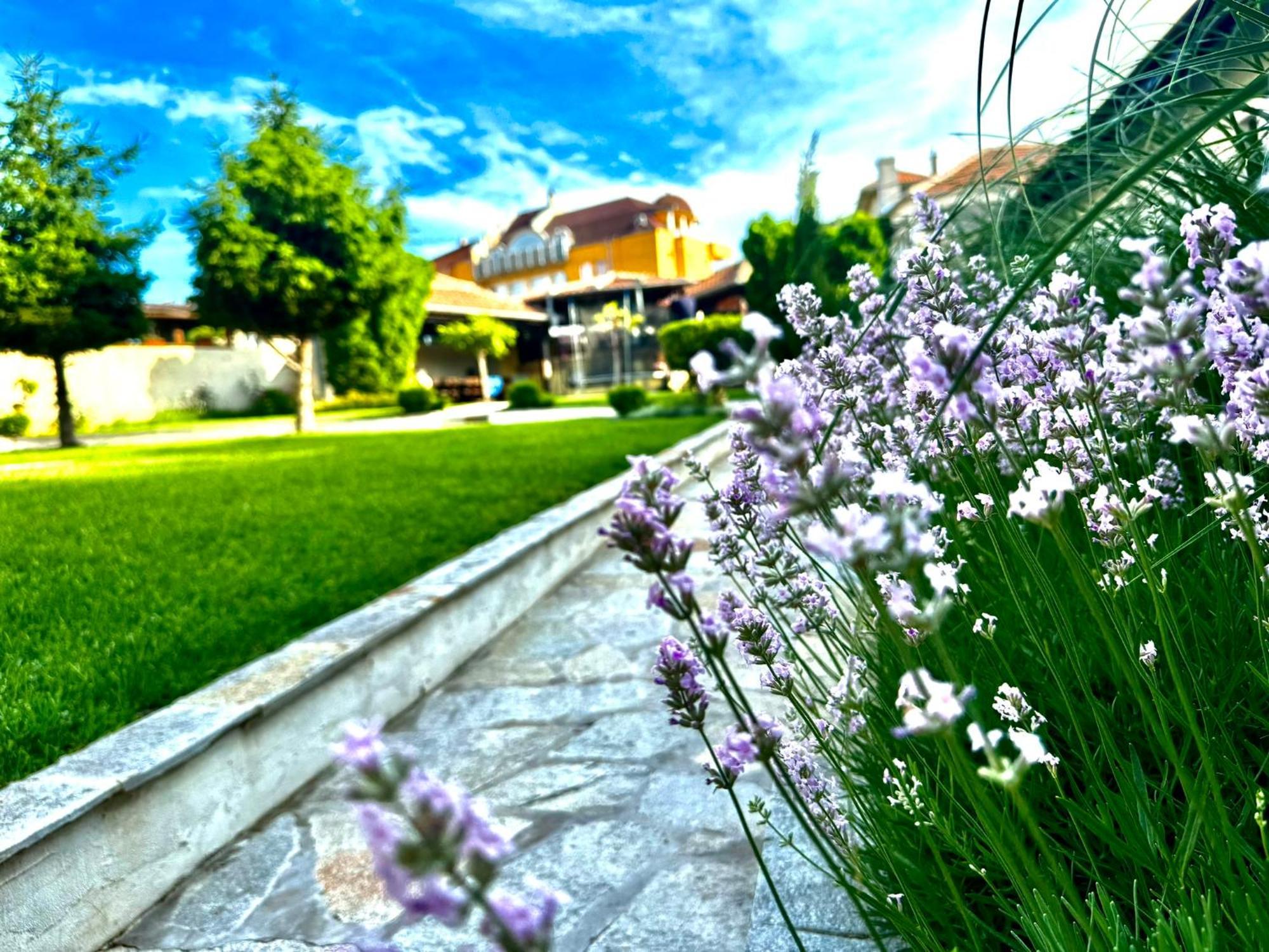 Guestrooms Stoyanovi Černomorec Exteriér fotografie